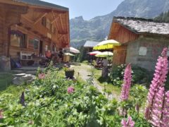 IMG_20230625_123741-scaled