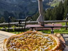 PXL_20250531_065911398-scaled